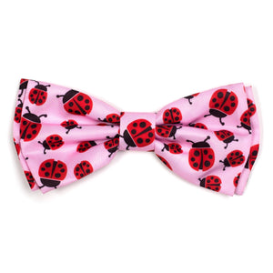 Ladybugs Bow Tie