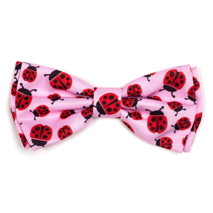 Ladybugs Bow Tie