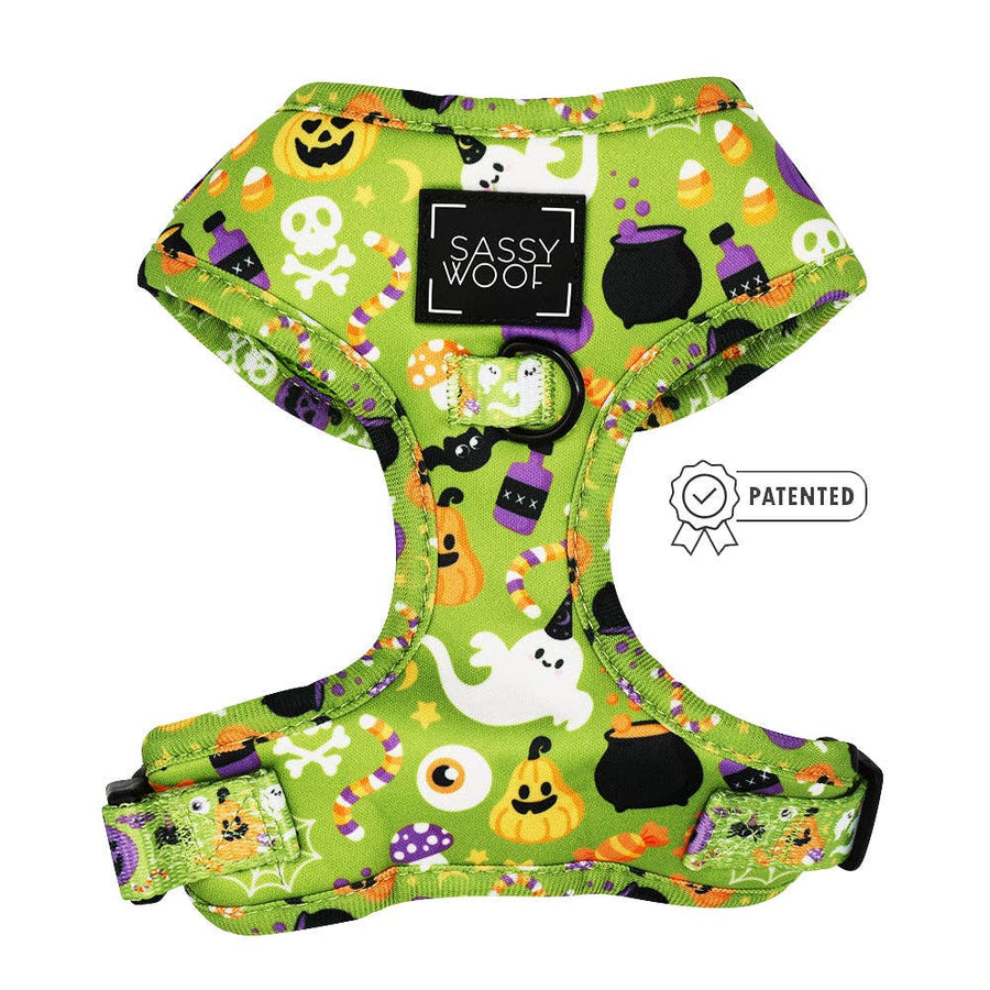 Dog Adjustable Halloween Harness - Haunt Mess