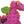 GoDog Dragons Squeaky Plush Dog Toy Pink Small