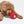 Tennis Tumble Interactive Dog Toy