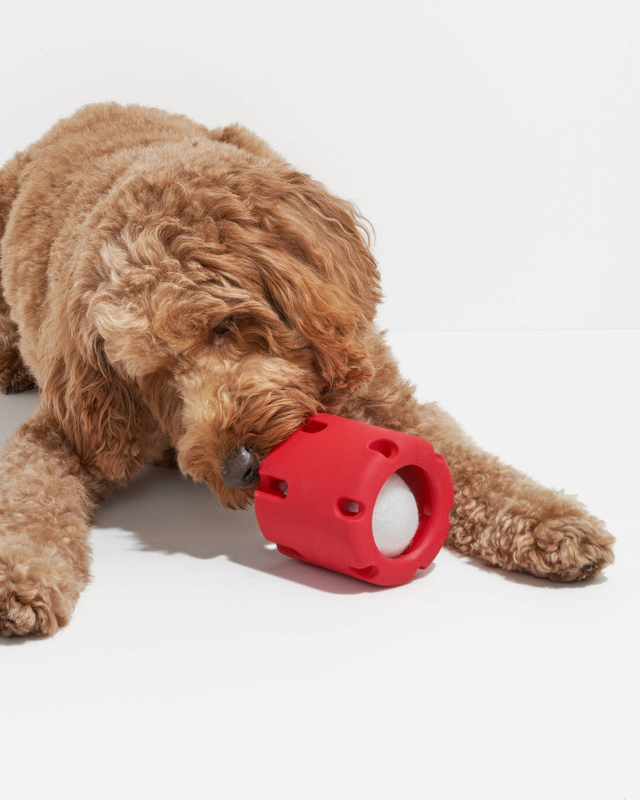 Tennis Tumble Interactive Dog Toy