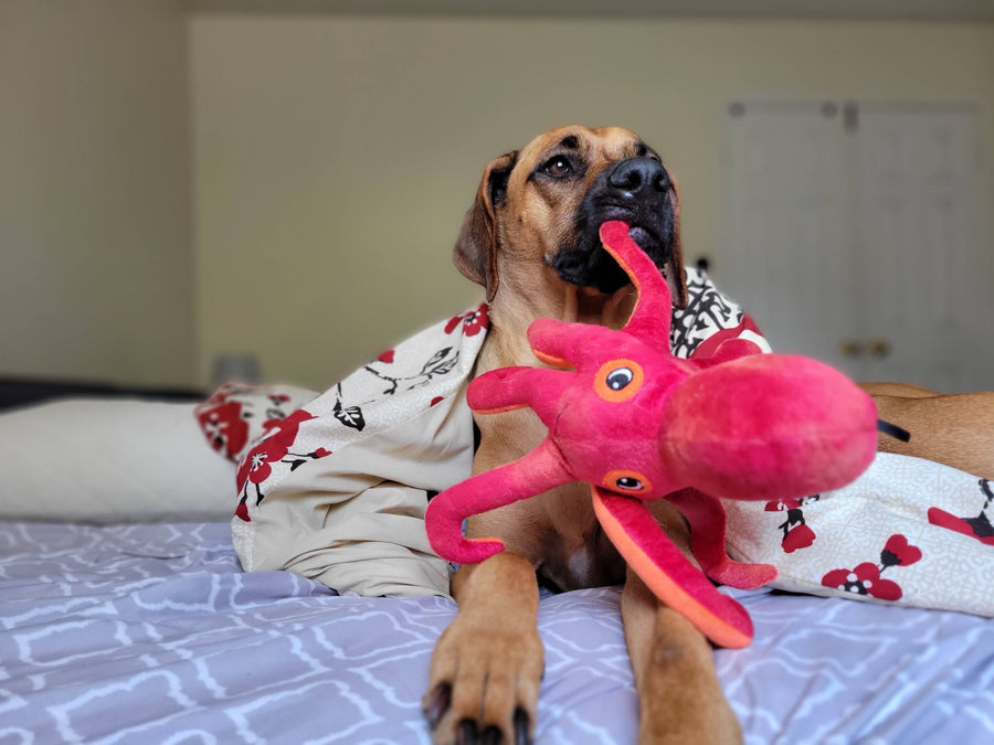 SnugArooz Olivia the Octopus Plush Dog Toy 11"