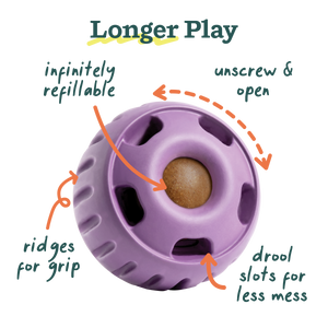 The Pupsicle - Lavender