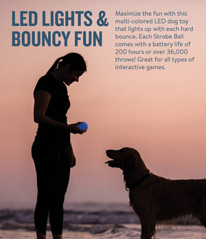 Planet Dog Orbee-Tuff Strobe Ball Light Up Dog Toy Blue