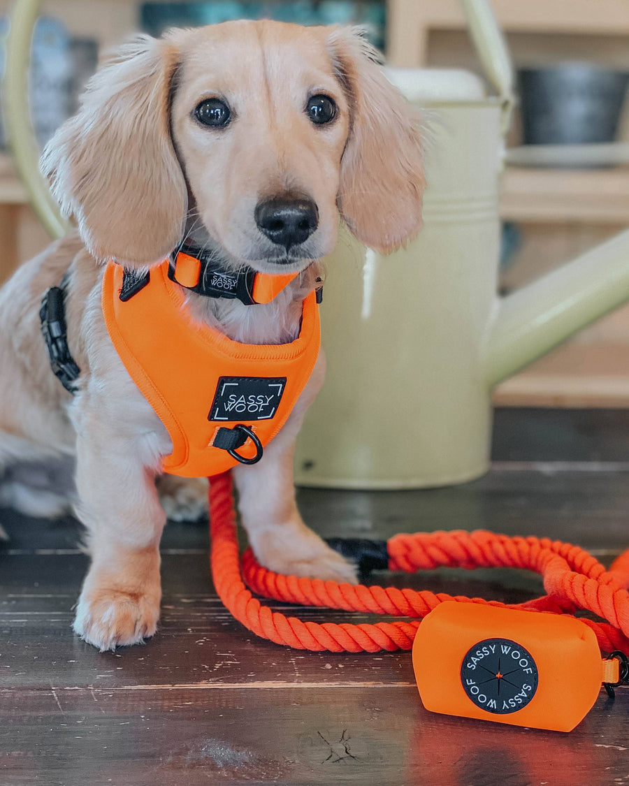 Dog Waste Bag Holder - Neon Orange