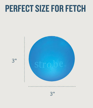 Planet Dog Orbee-Tuff Strobe Ball Light Up Dog Toy Blue