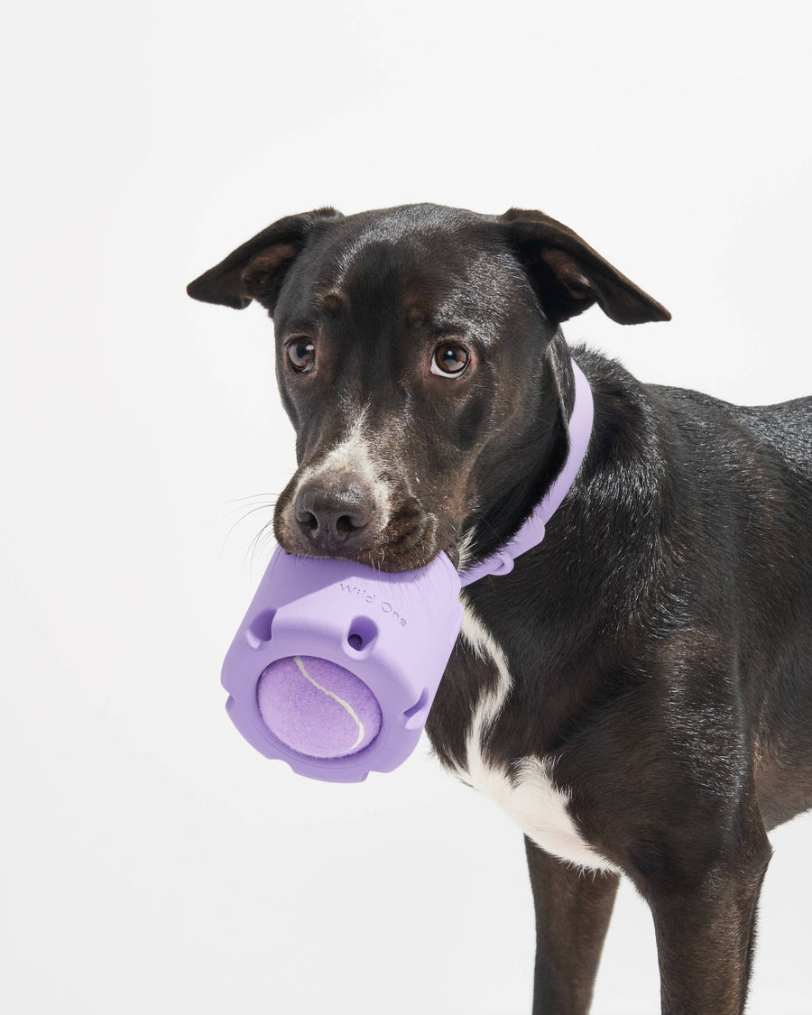 Tennis Tumble Interactive Dog Toy