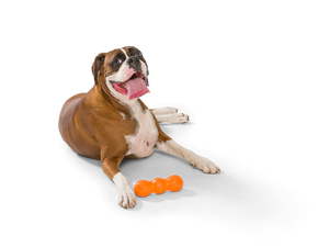 West Paw Rumpus® Dog Chew Toy