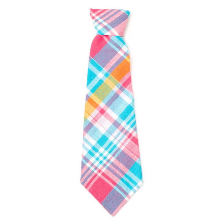 Madras Plaid Neck Tie