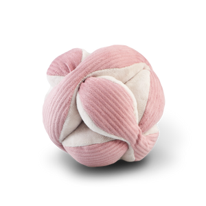 Monti Enrichment Dog Toy