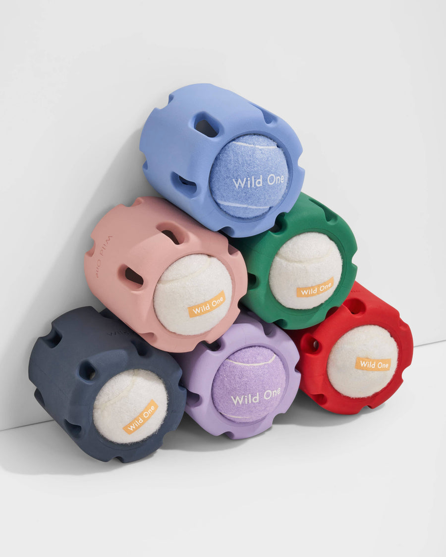 Tennis Tumble Interactive Dog Toy