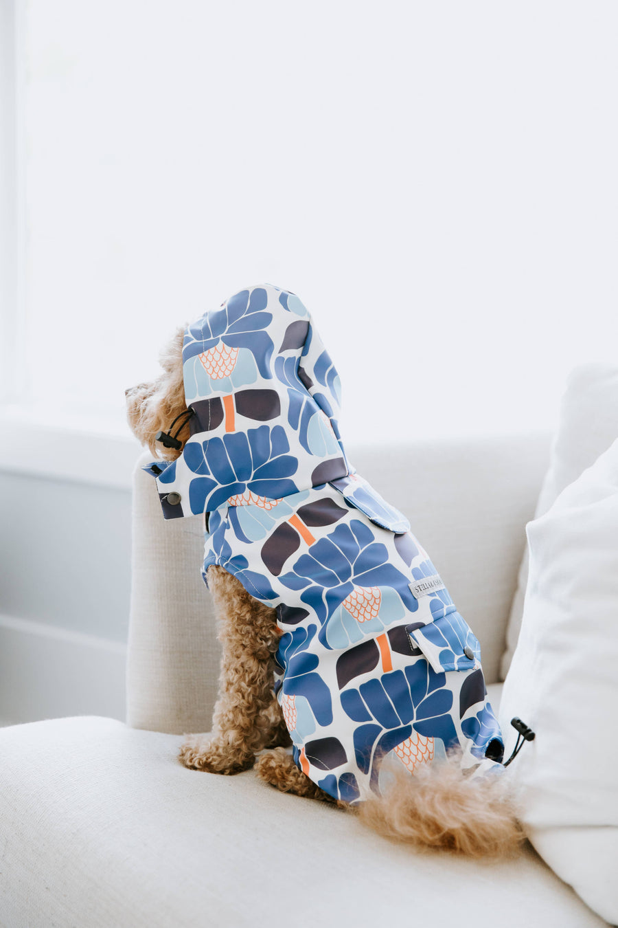 Floral Dog Rain Jacket