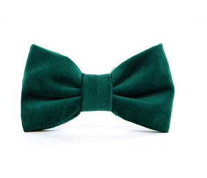 Foggy Dog Forest Green Velvet Dog Bow Tie