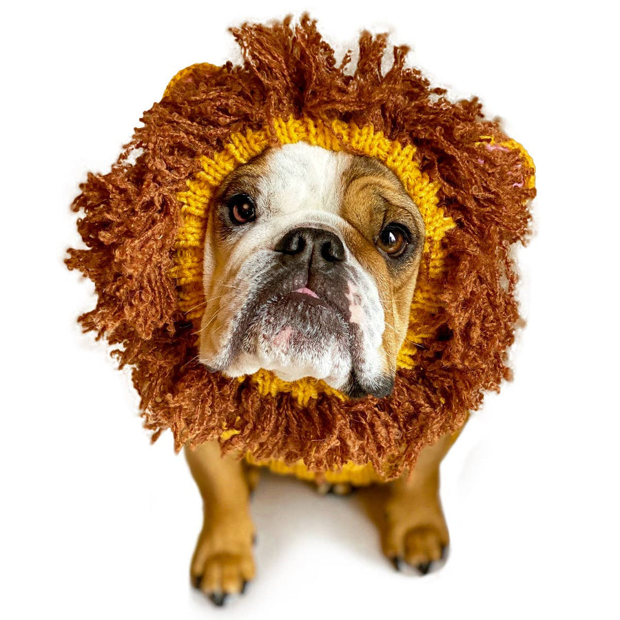 Lion Zoo Snood