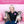 Hoggin' Dogs No Sugar Added Ice Cream Mix for Dogs: Peanut / 2.32 oz
