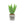 Blooming Buddies - Aloe-ve You Plant