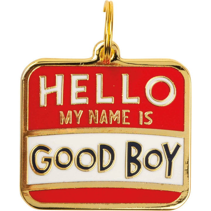 Hello My Name Is Good Boy Collar Charm