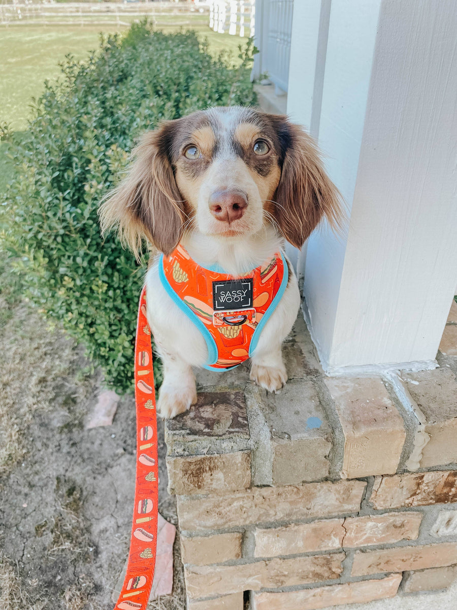 Dog Leash - One Hot Pupperoni (Food)