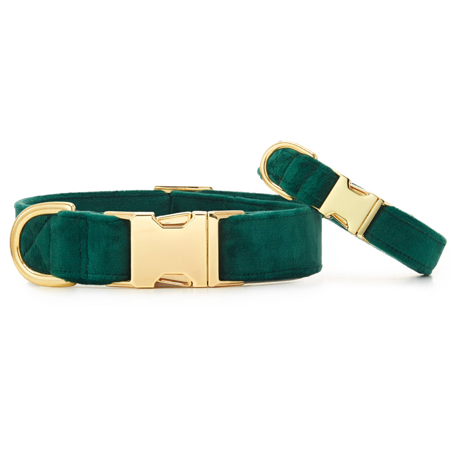 Foggy Dog Forest Green Velvet Dog Collar