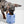 Tennis Tumble Interactive Dog Toy
