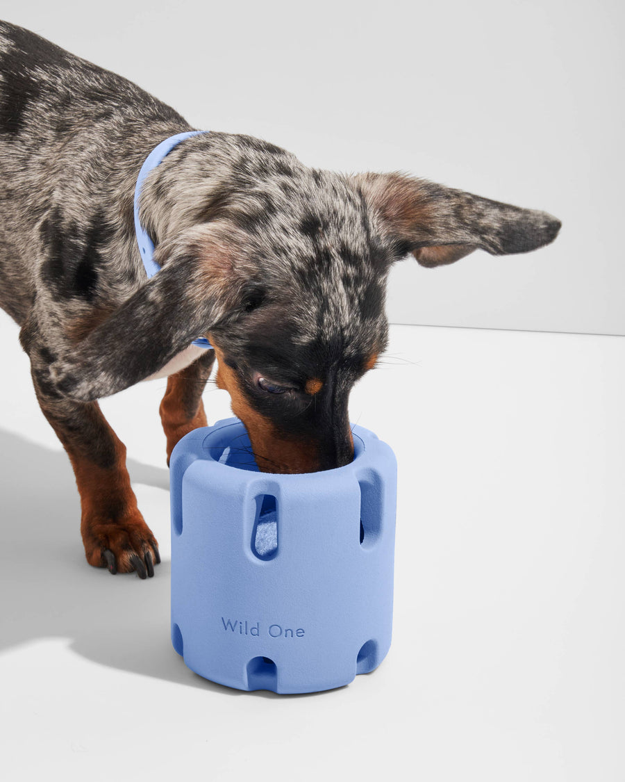 Tennis Tumble Interactive Dog Toy