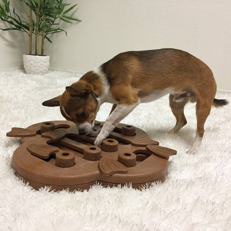 Nina Ottosson Dog Hide N Slide Interactive Treat Dog Puzzle