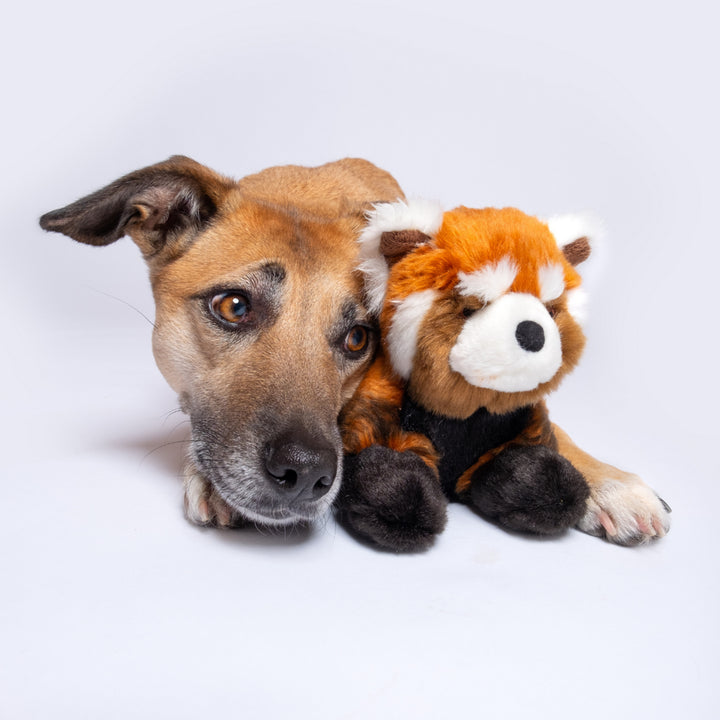 Fluff & Tuff Archie Red Panda