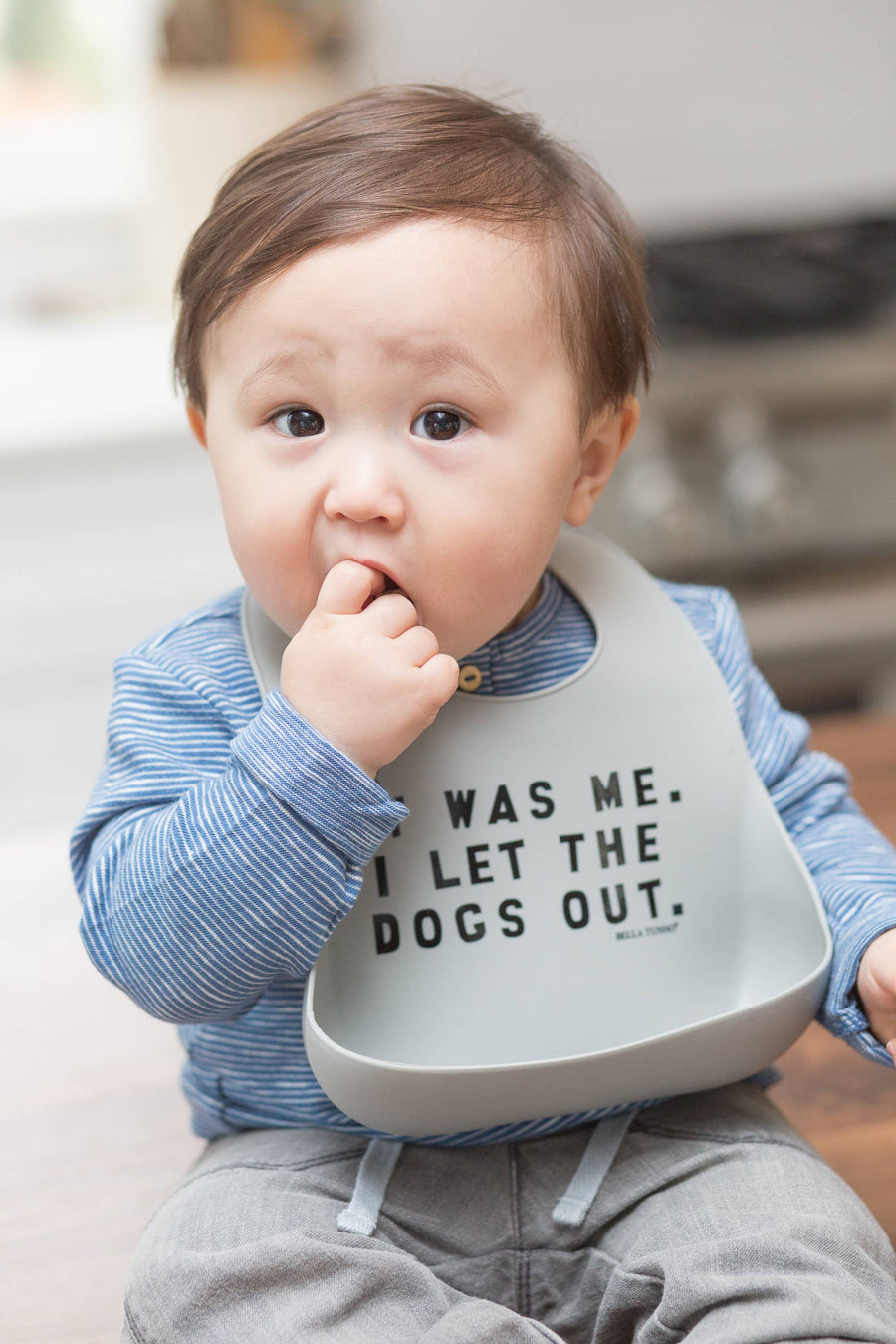 I Let The Dogs Out Wonder Bib