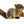 Fluff & Tuff Nuts Squirrel