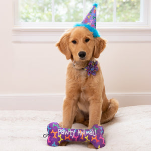 Party Hat Balloon Doggy with SnugFit