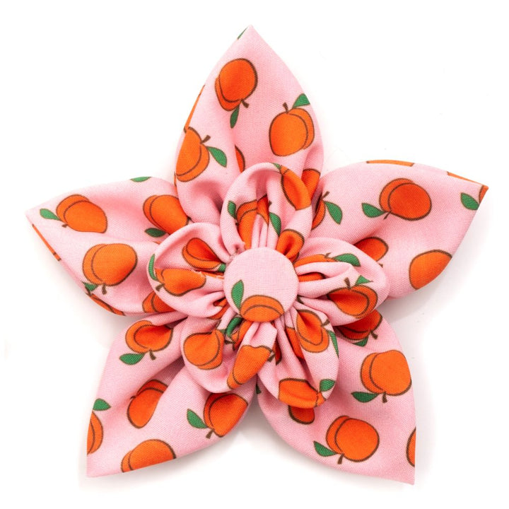 Peachy Keen Flower
