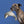 Fluff & Tuff Danny Dolphin