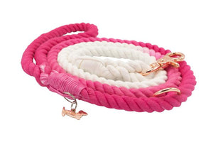 Pink Ombre Leash