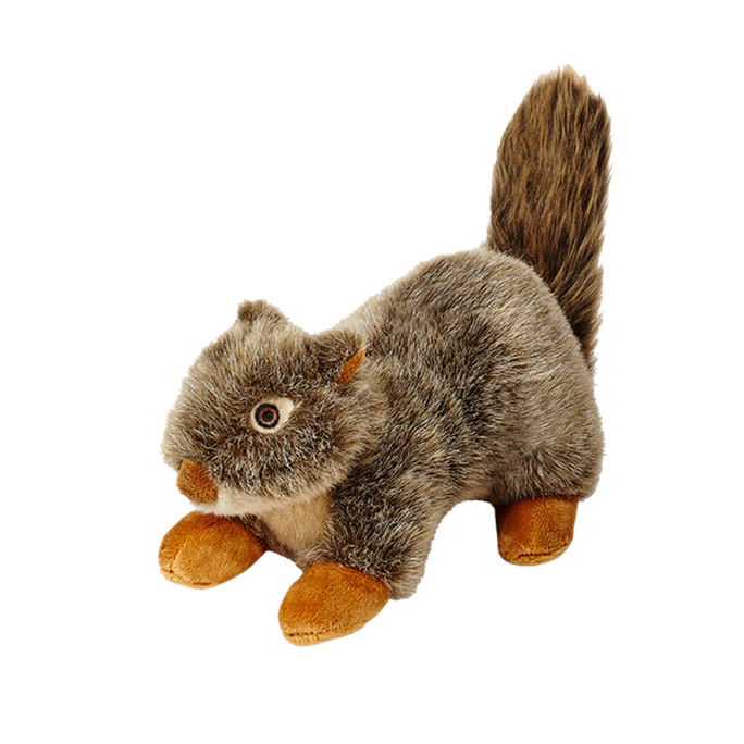 Nuts Squirrel