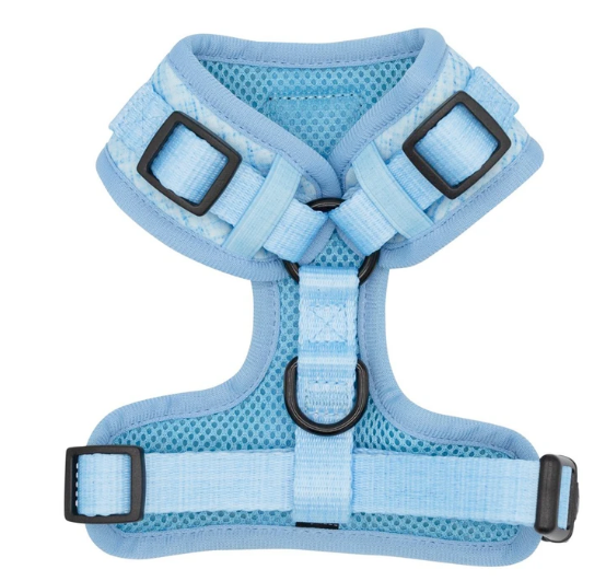 Blumond - Adjustable Harness