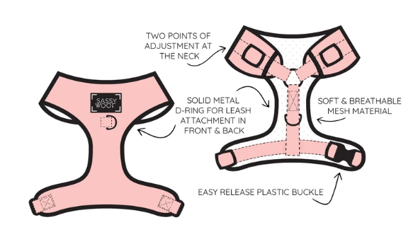 Blumond - Adjustable Harness