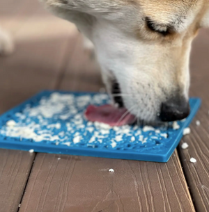 Enrichment Lick Mat For Dogs