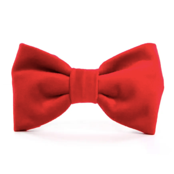 Foggy Dog Cranberry Velvet Dog Bow Tie