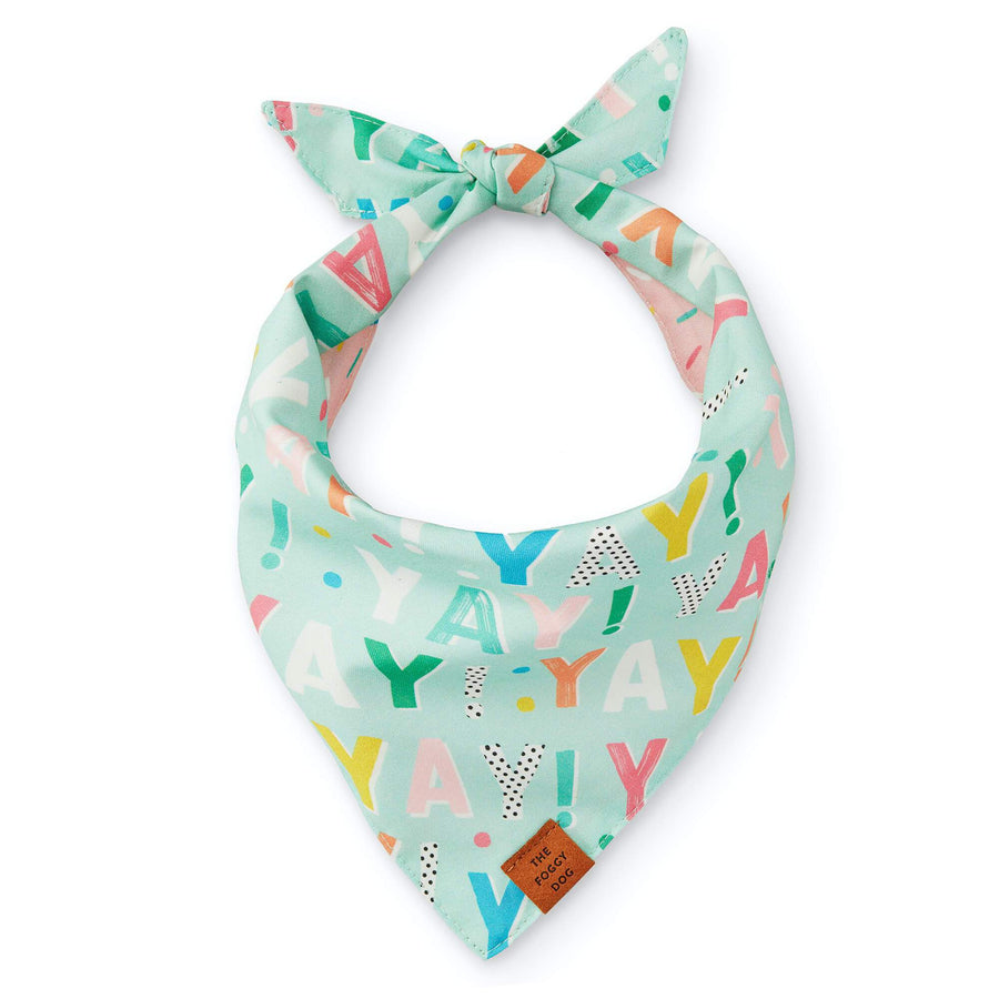 Birthday Yay Aqua Dog Bandana (Reversible)