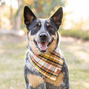 Foggy Dog Cornucopia Flannel Dog Bandana