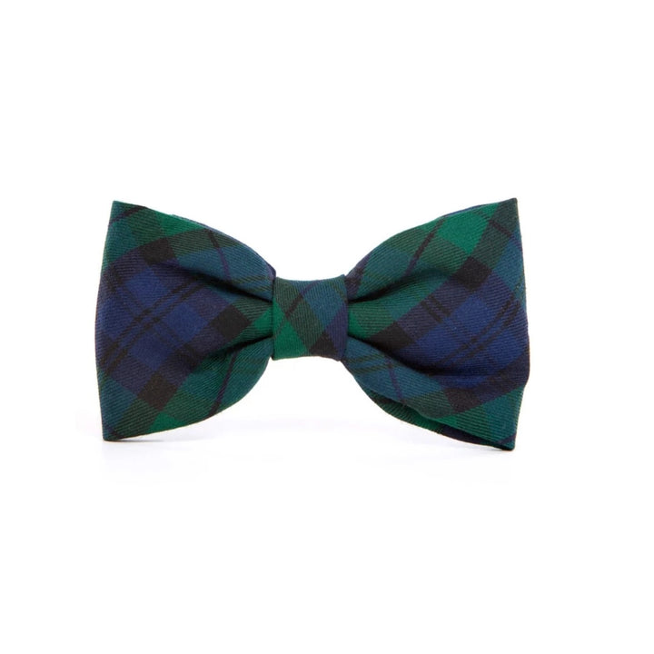 Black Watch Plaid Dog Bow Tie