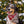 Marsala Plaid Flannel Dog Bandana
