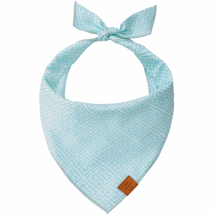 Mint Mandalay Dog Bandana