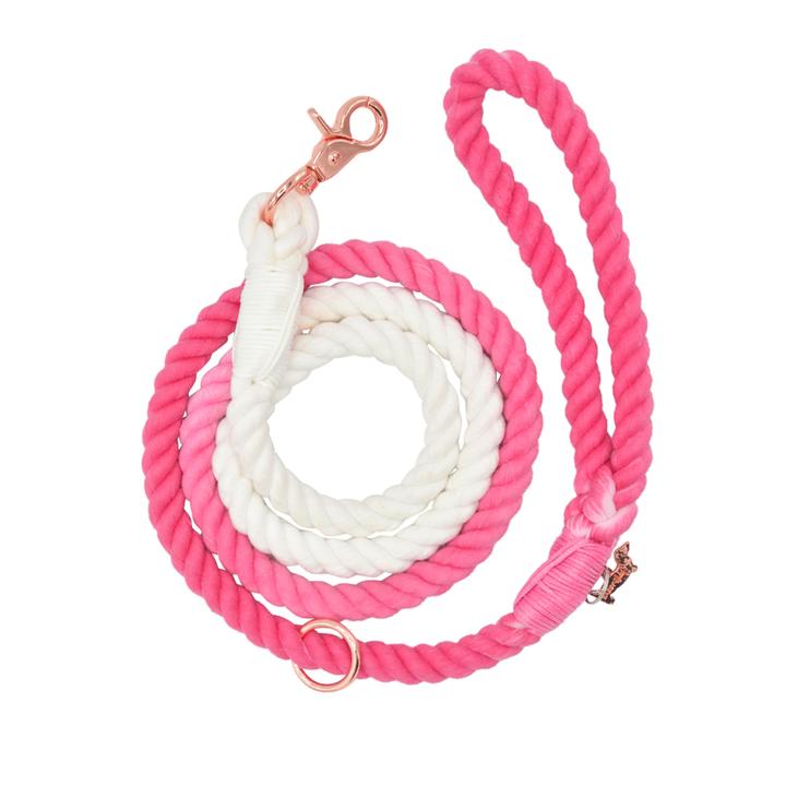 Pink Ombre Leash