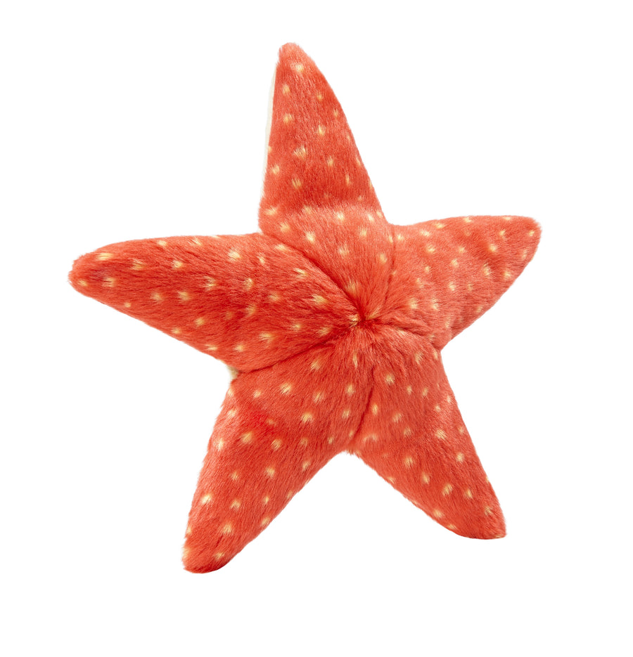 Ziggy Starfish