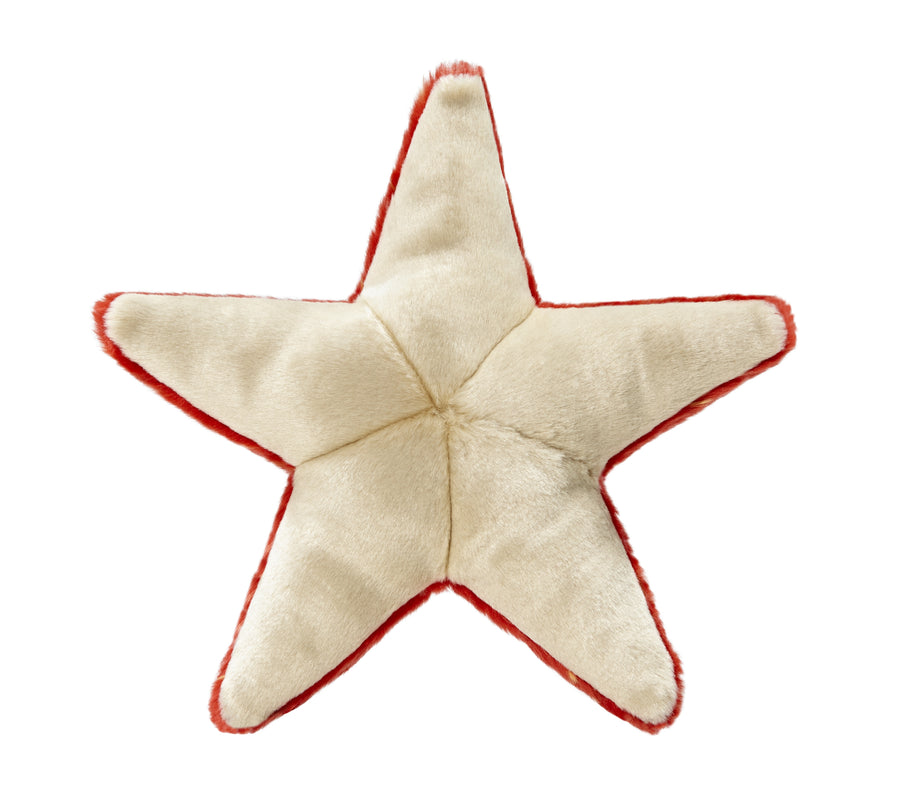 Ziggy Starfish